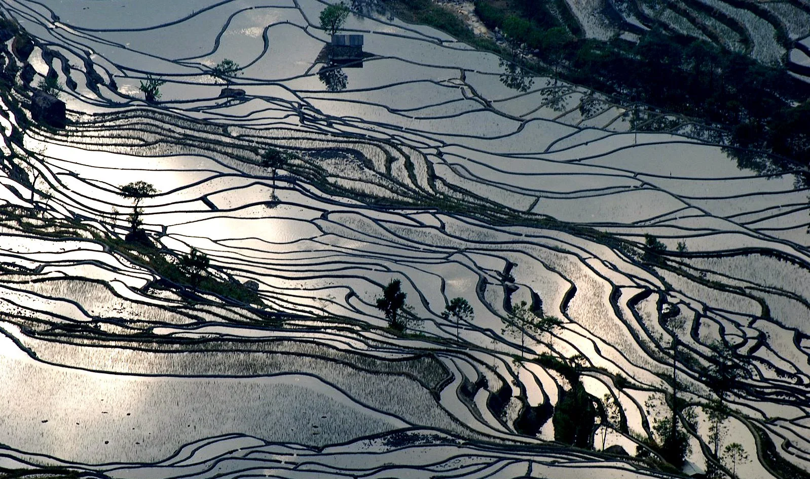 Sunset reflected in the Hani rice terraces of Yuanyang, Yunnan